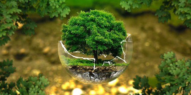 economia circular